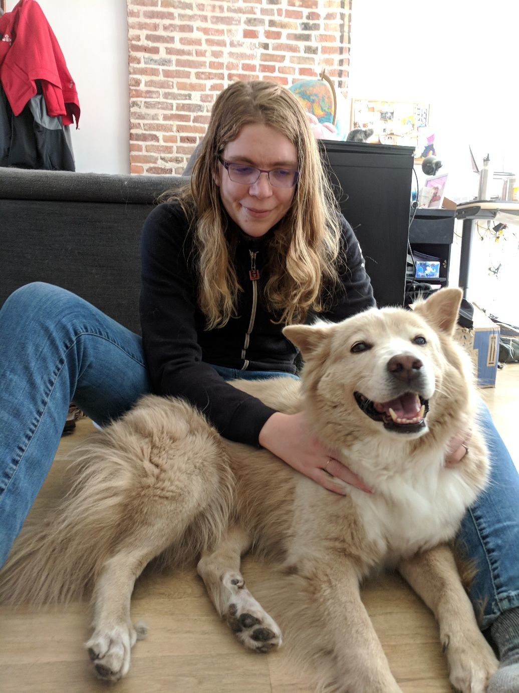 a cute brunette and very fluffy dog