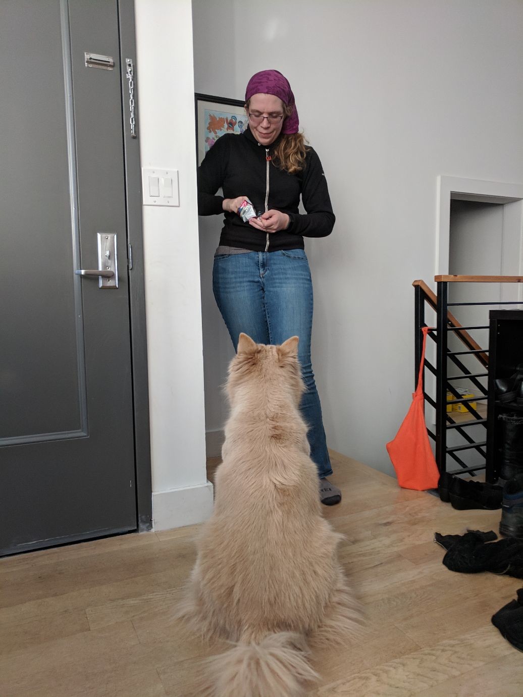 a dog sitting very still in front of a woman holding a bag of treats