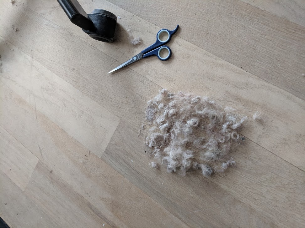 a giant pile of dog fur on the floor, next to a pair of scissors