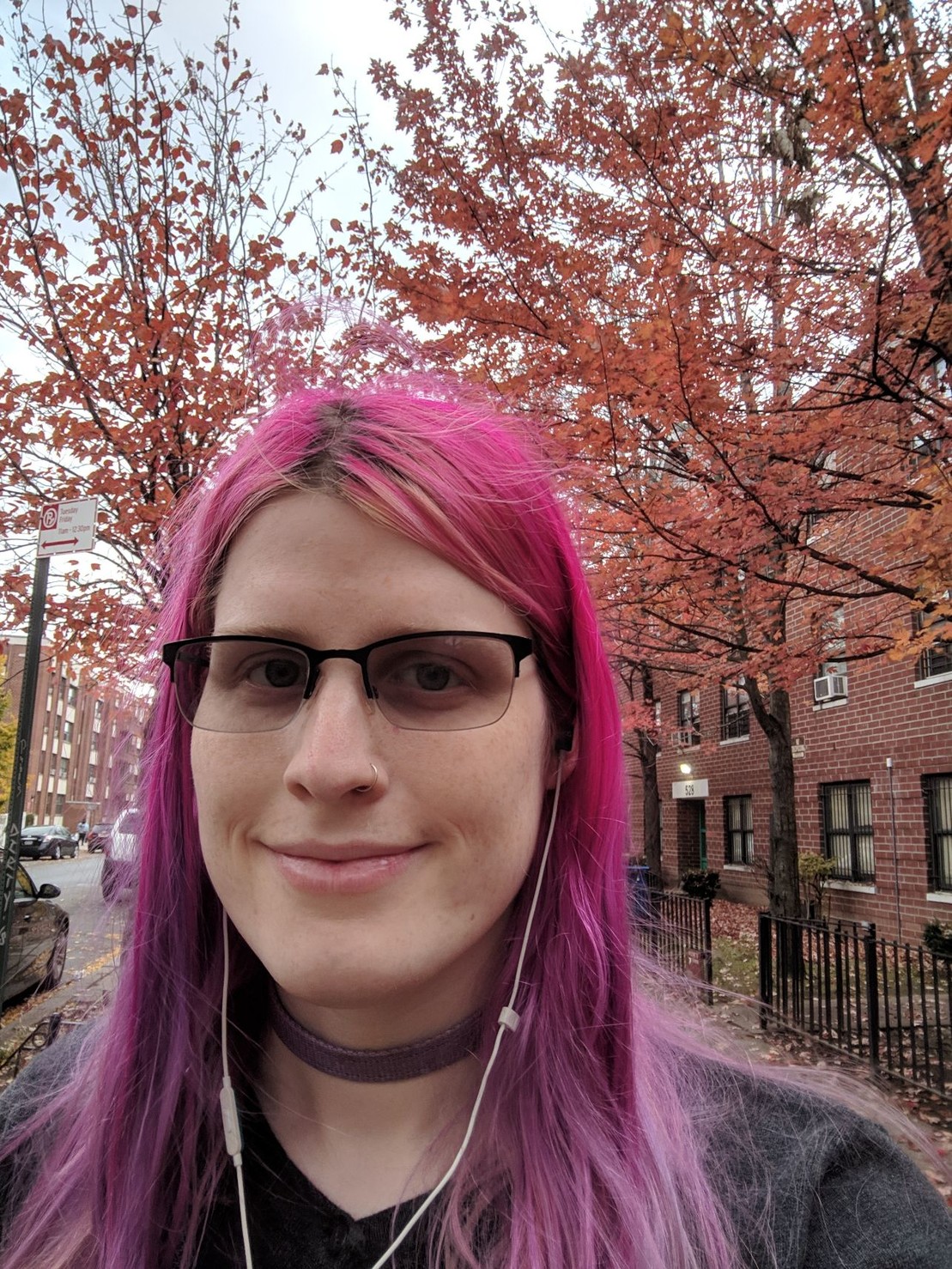 a girl with pink hair, in front of leaves turning red for autumn