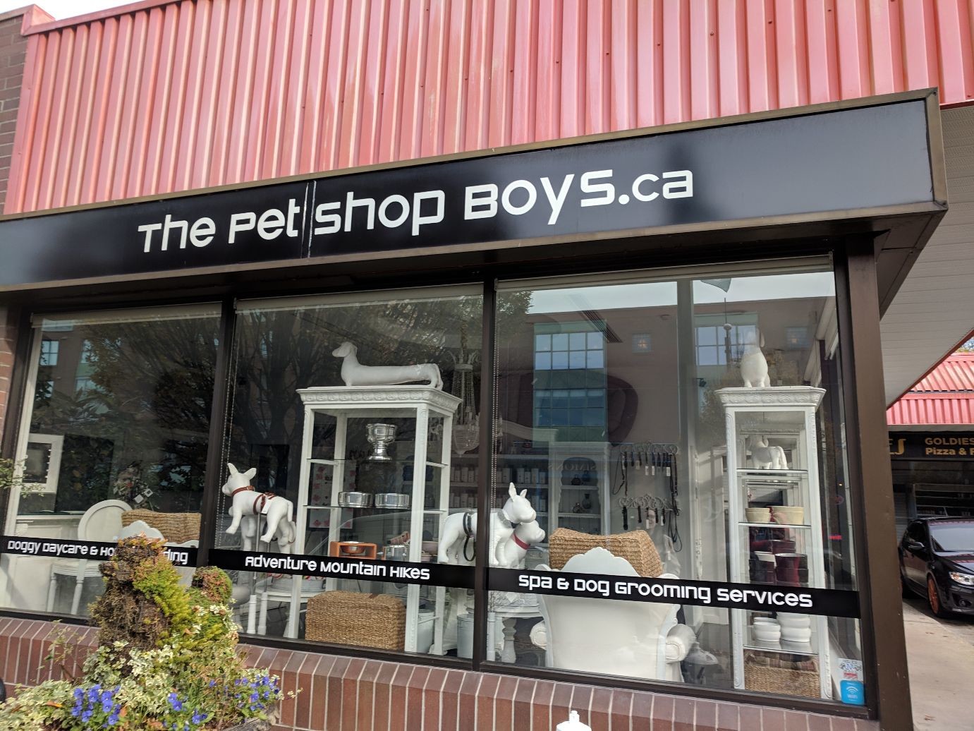 a pet shop called the pet shop boys