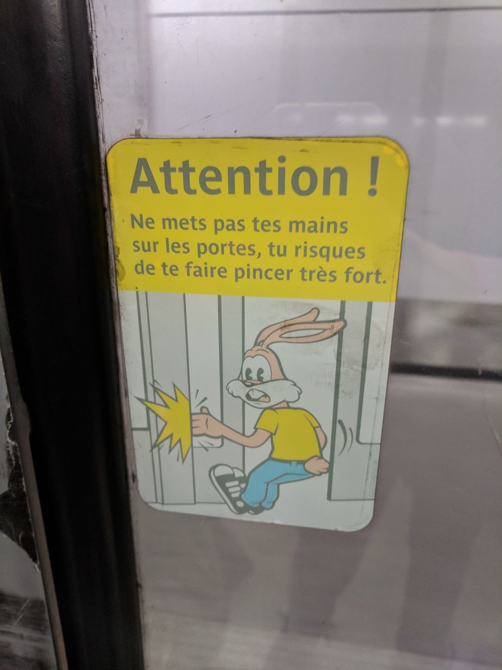 the same rabbit with their hand caught in a door