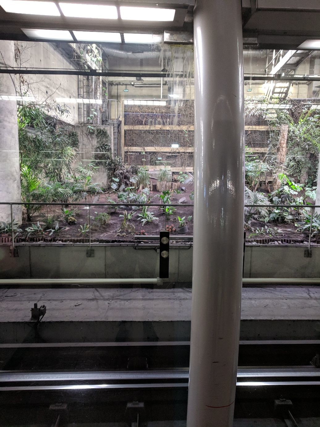 through platform doors, across a metro track: a plot of soil, various ornamental foliage and bright grow lights