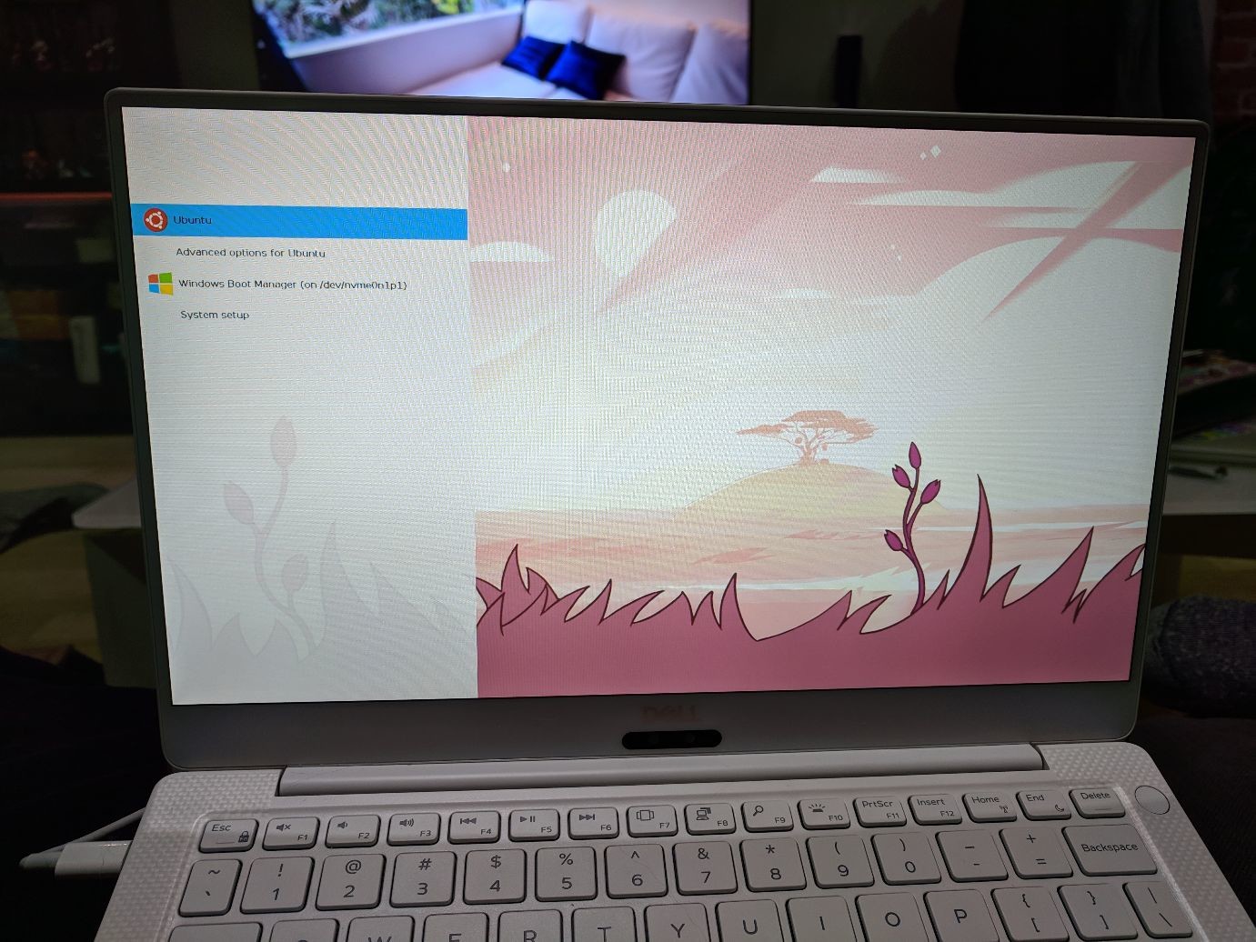 a laptop booting up with a Steven universe background