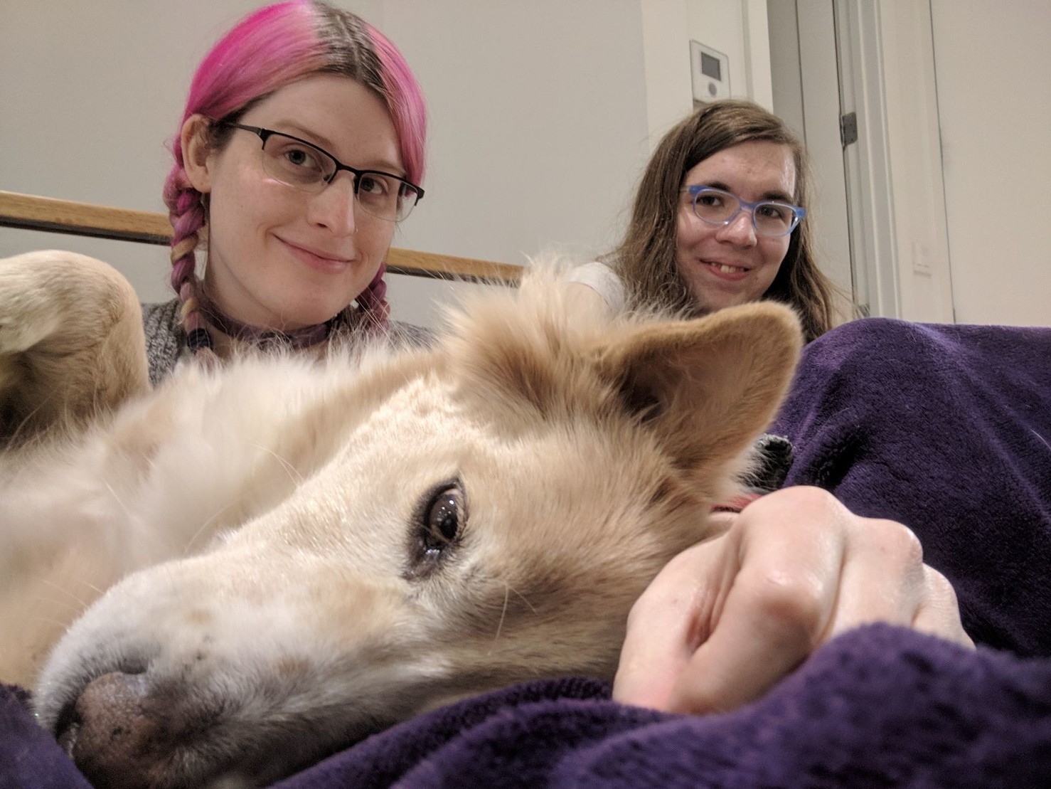 a very sideways sleepy dog laying on and bring pet by two smiling women