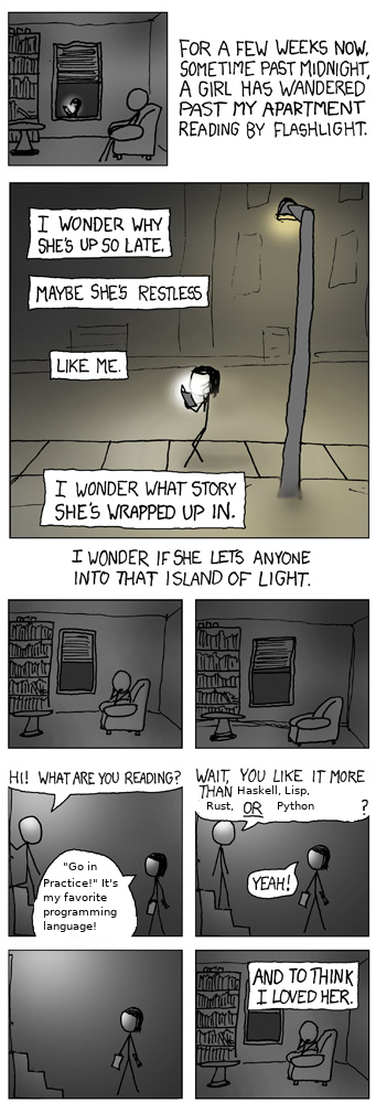 An XKCD comic about a girl who walks passed someone's house reading by flashlight. They finally ask her what she's reading, and the text has been altered to say "Go In Practice! It's my favourite programming language!"
"Wait, you like it more than Haskell, Lisp, Rust, OR Python?
Yeah!
(he goes back inside)
"And to think I loved her"