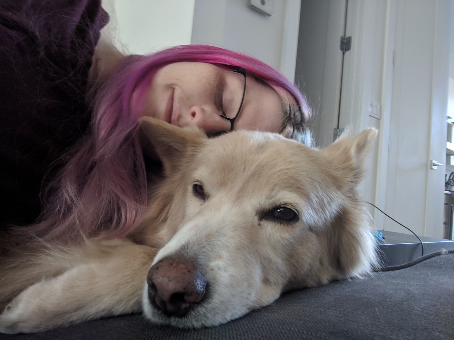 me sleeping on top of a ferry sleepy looking dog