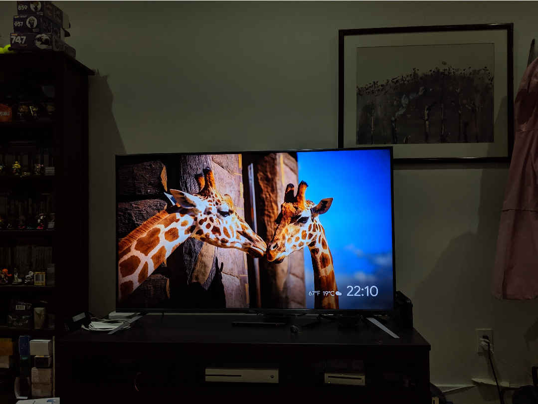 a picture of two giraffes on a TV