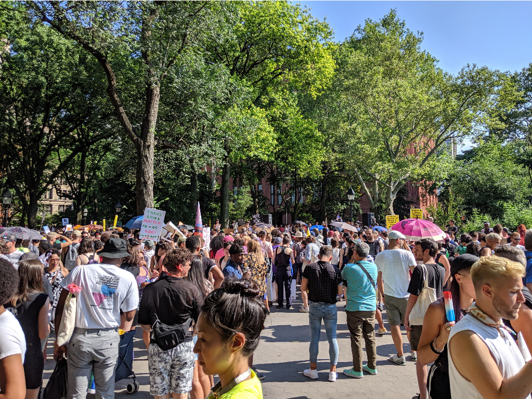 a large gathering of trans people rallying in a park