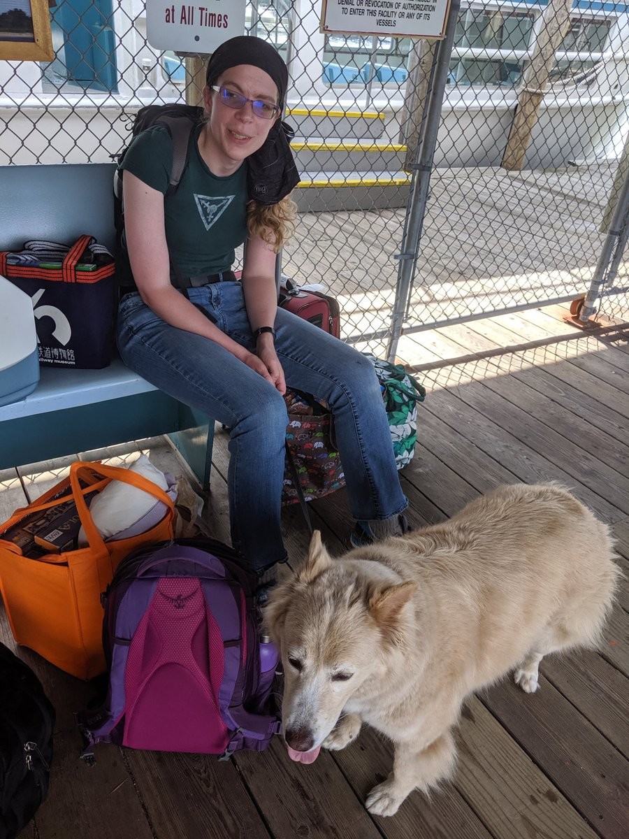 A dog on a dock waiting for a boat. A cute girl looks on