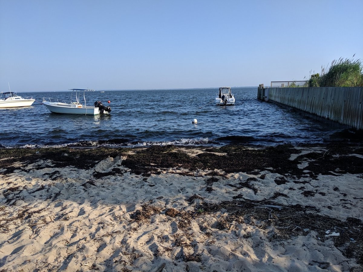 High tide nearly cresting the top of a beach
