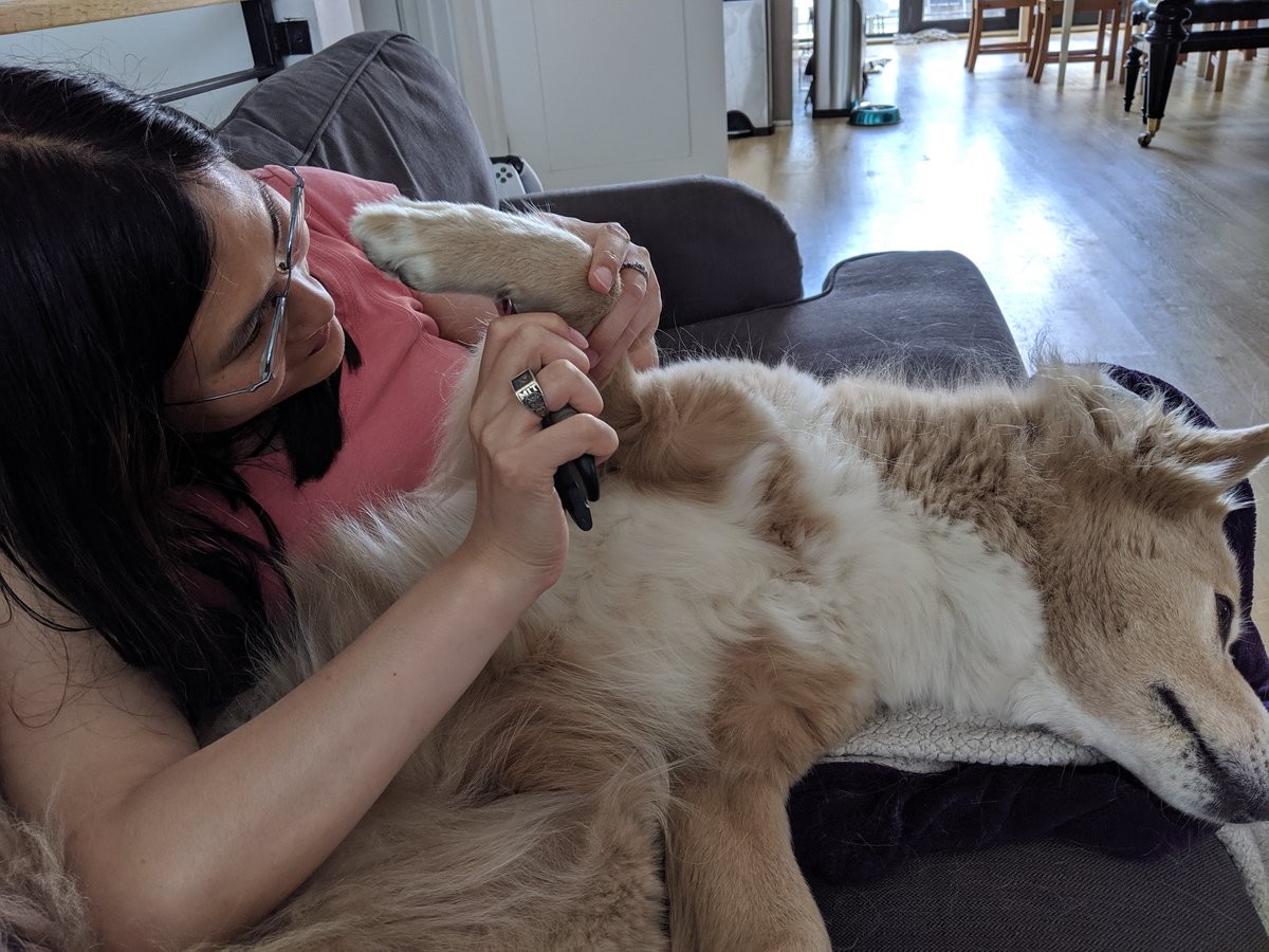 Liz clipping Flurry's toenails