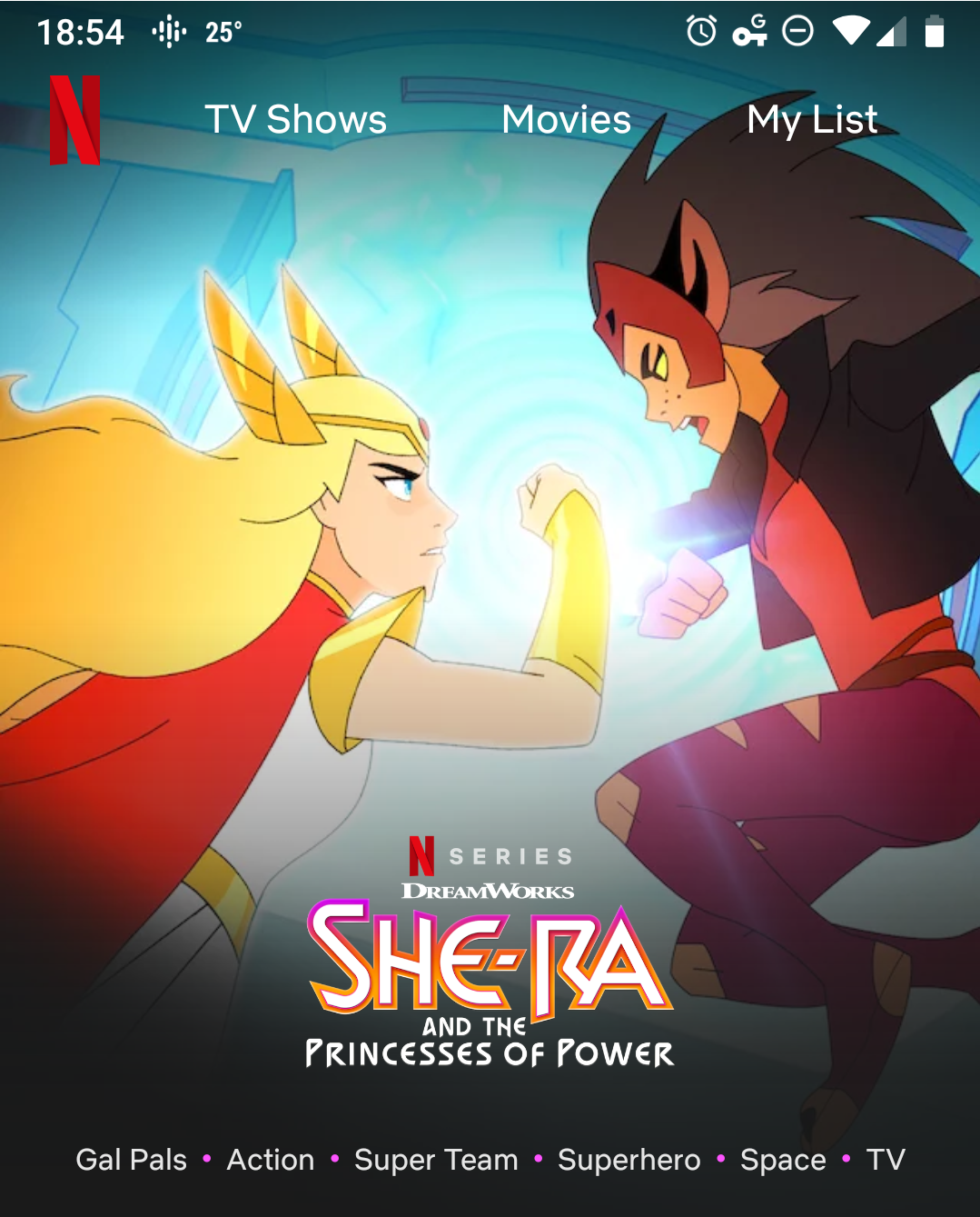 the she ra splash screen on netflix