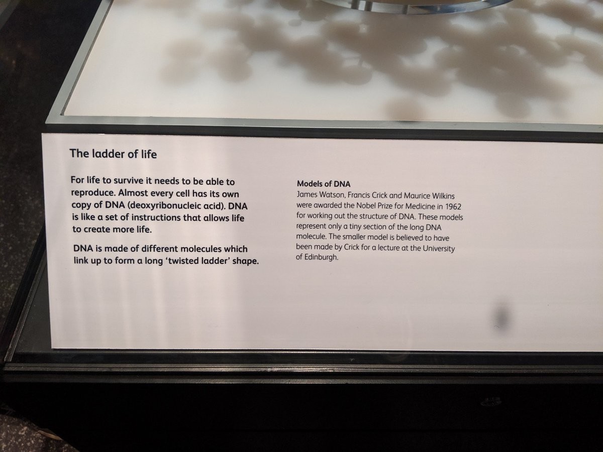 A short paragraph about DNA that only mentions Wilkins and Crick