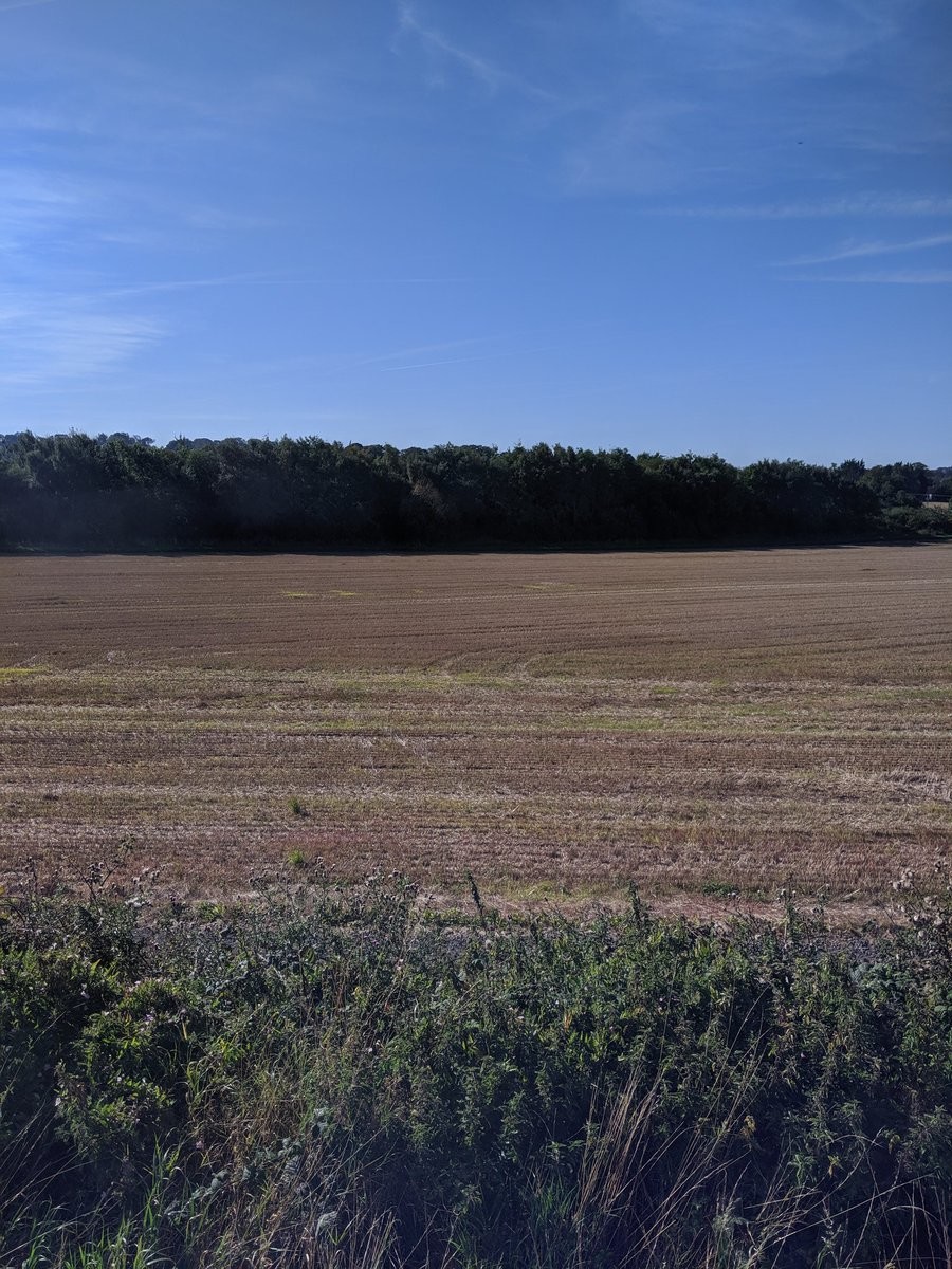 A manicured field in the Scottish countryside