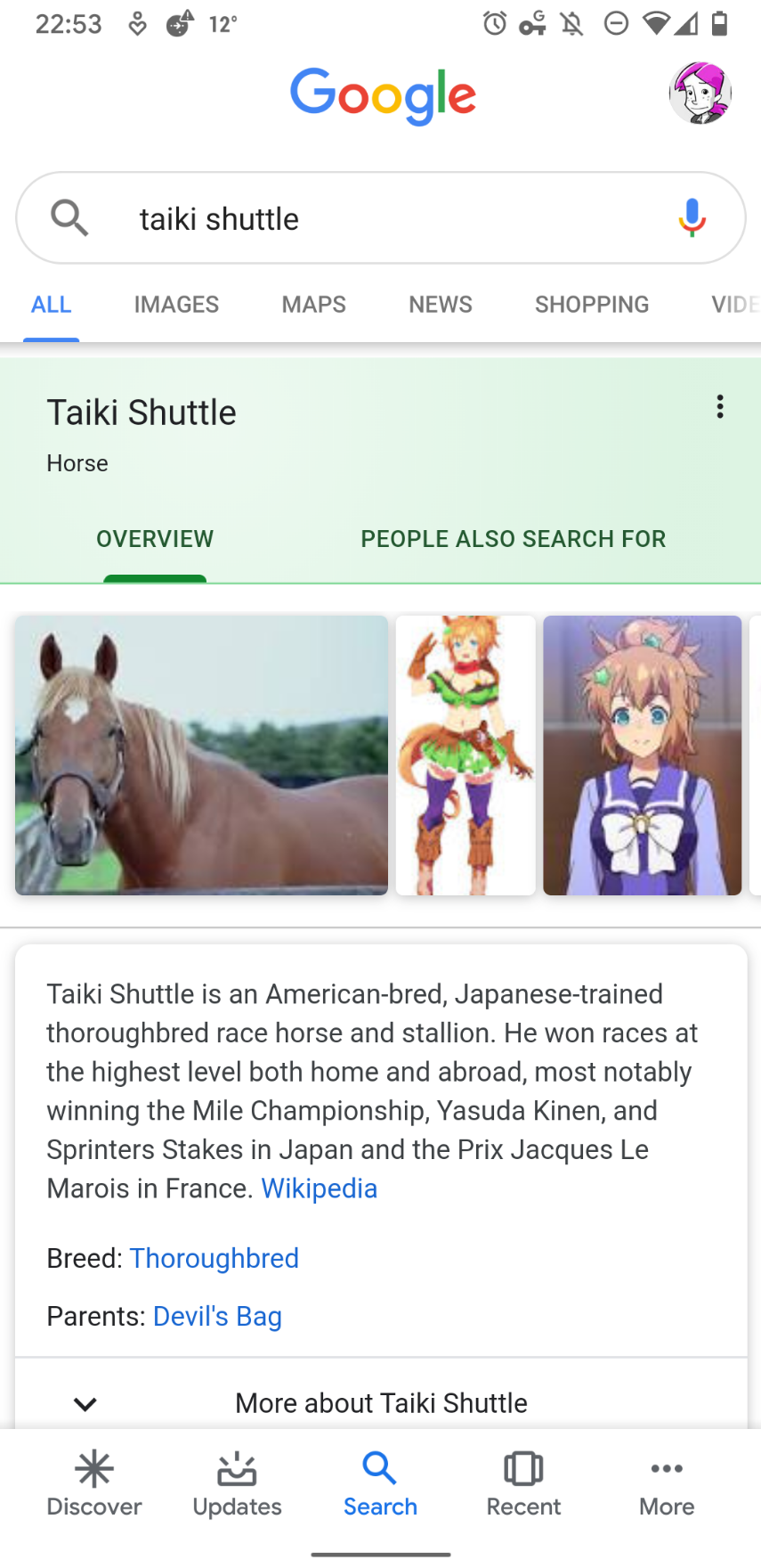 search results for a horse name. pictures are a mix of an anime horse girl and an actual horse