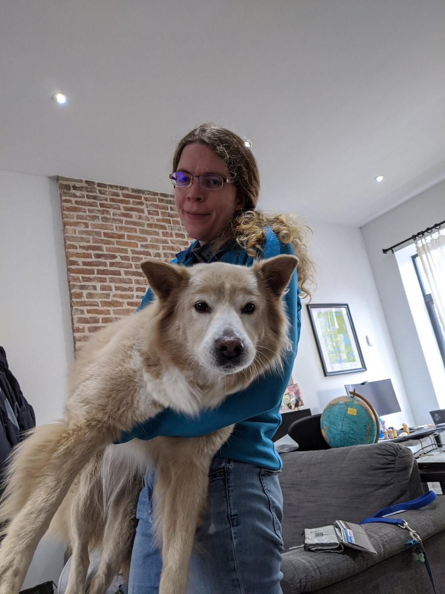 A perturbed dog being held in midair by a woman with long curly blonde hair and glasses