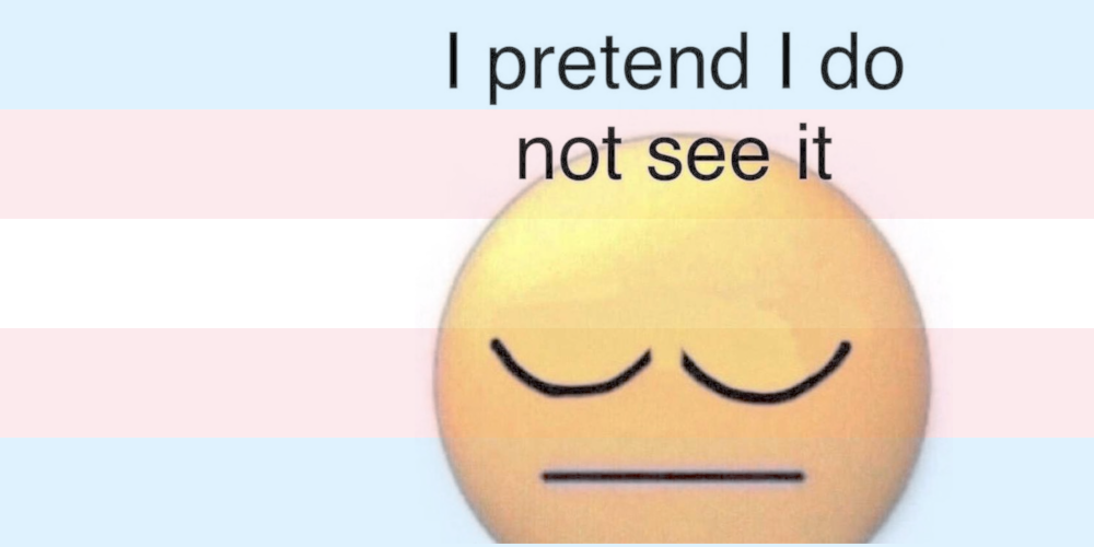 A yellow pensive face with "I pretend I do not see it" superimposed over a barely-visible trans flag