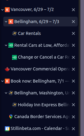A tree of tabs related to rental cars and Canadian border services
