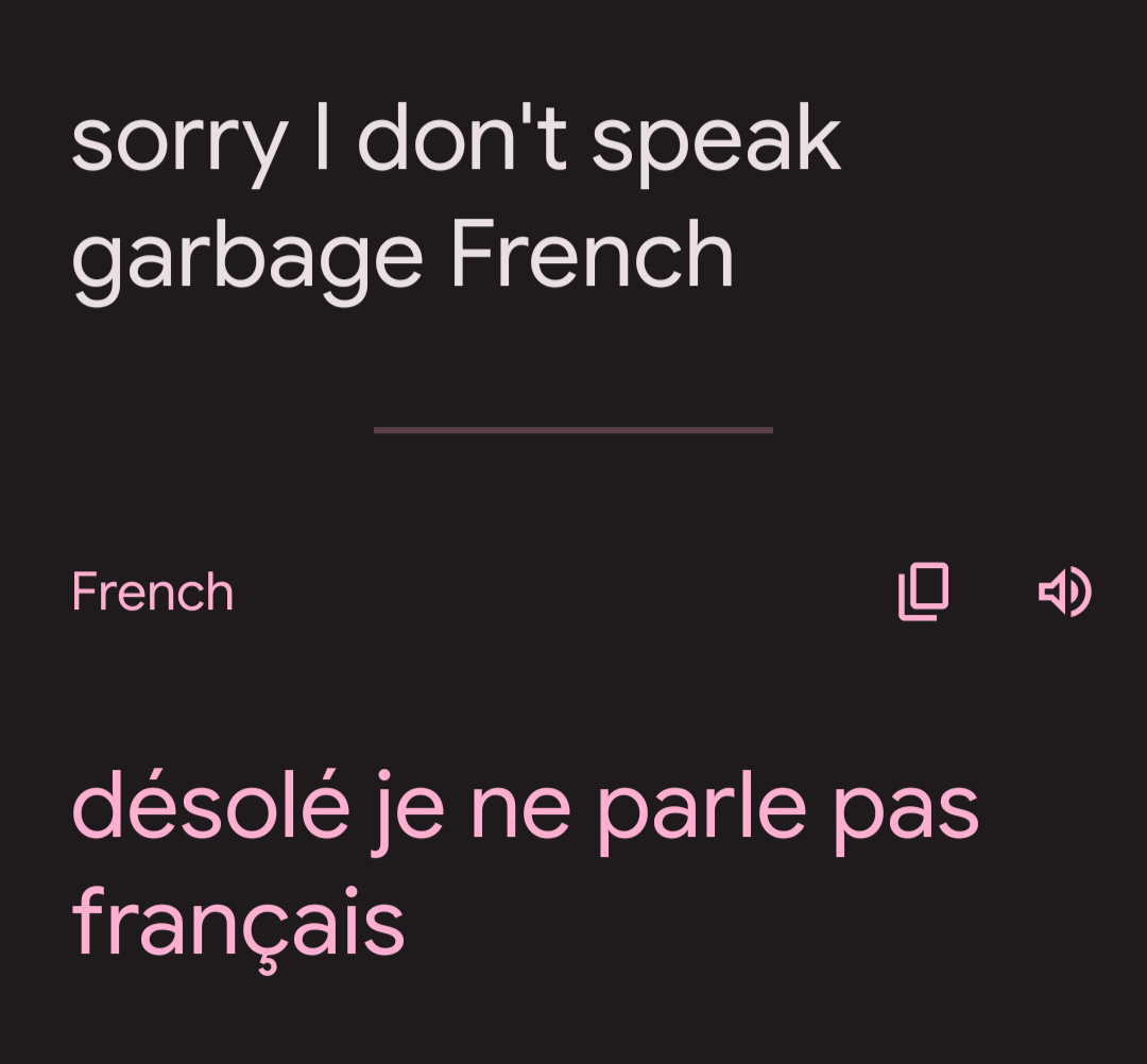 Sorry I don't speak garbage French

Translates to

désolé je ne parle pas français
